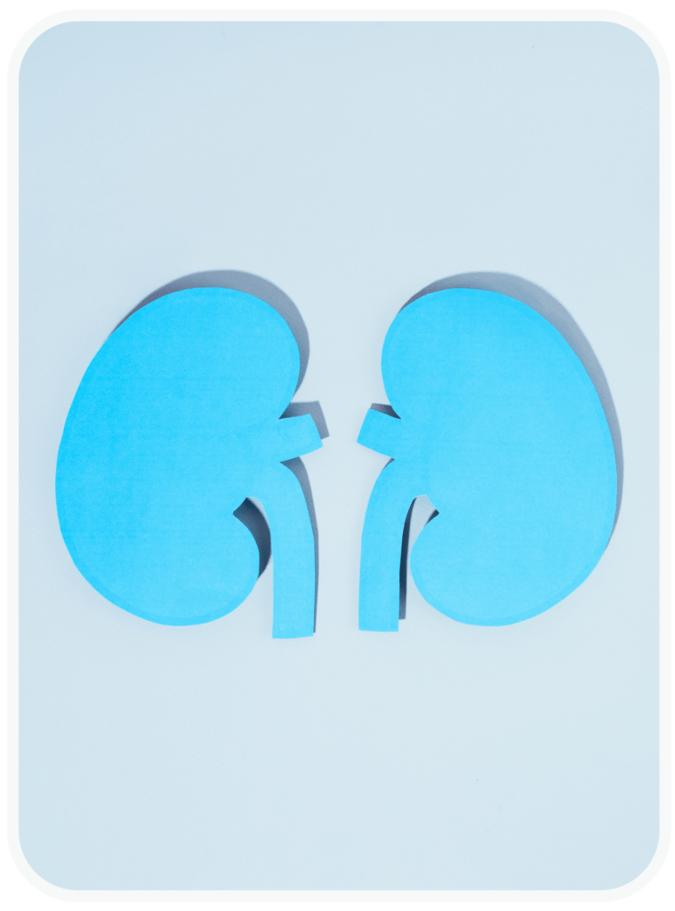 Chronic Kidney Disease, aka CKD